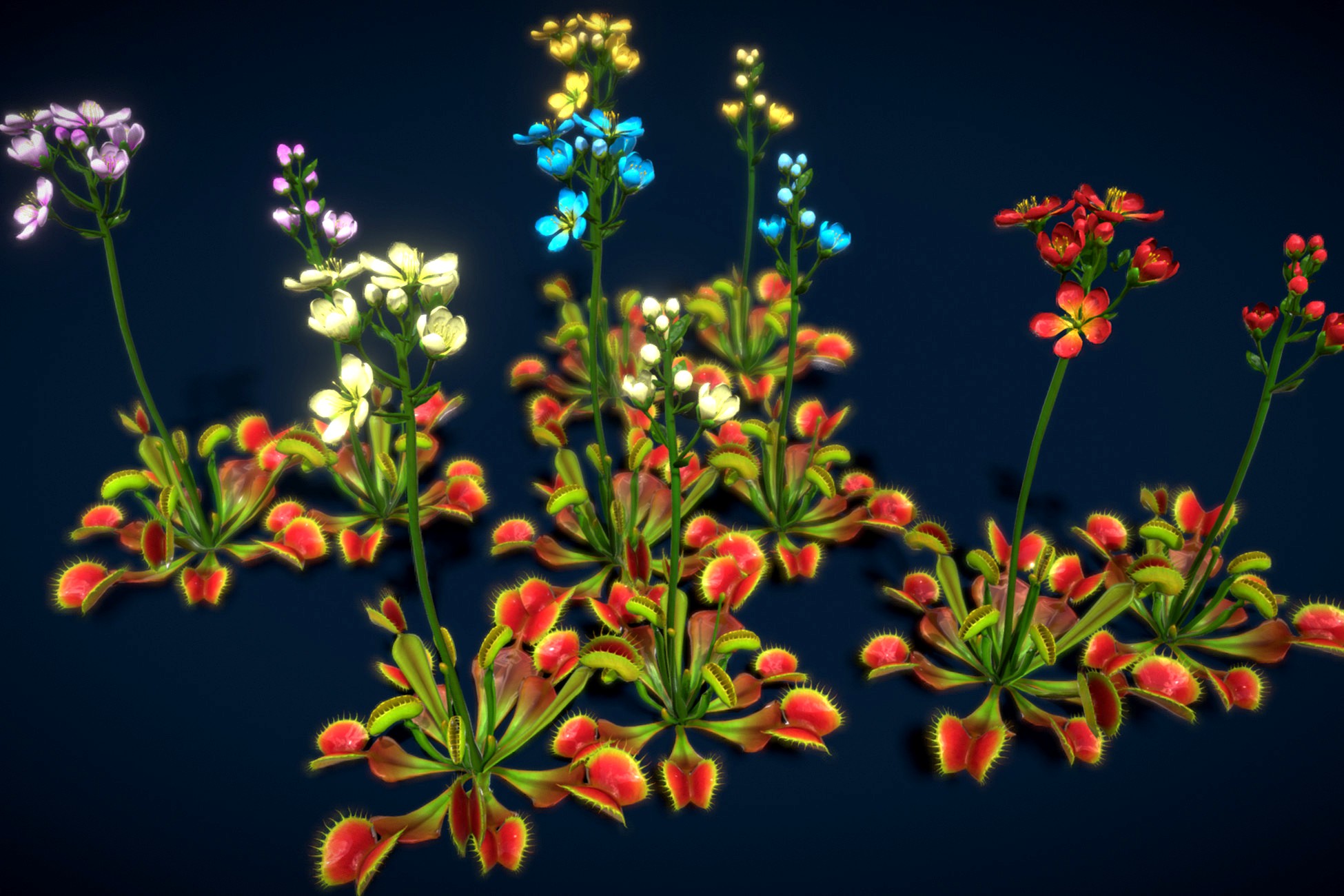 Flower Venus Flytrap