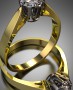 Ring 3D Model