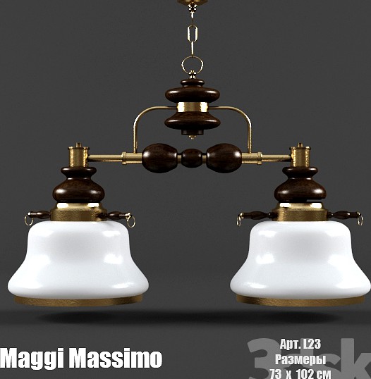 Maggi Massimo L23