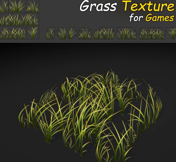 Simple Grass Texture 3D Model