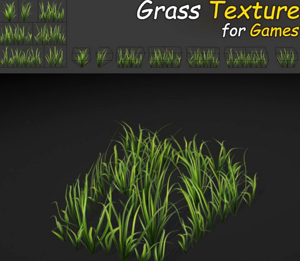 Wild Grass Texture 3D Model