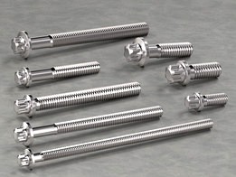 20 Hexalobular screws Collection/Confiurator