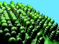 Forest 3D Model