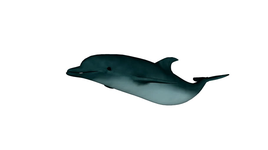 Dolphin