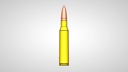 .338 Lapua Magnum Cartridge