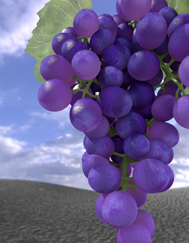 Bunch of grapes 3D Model