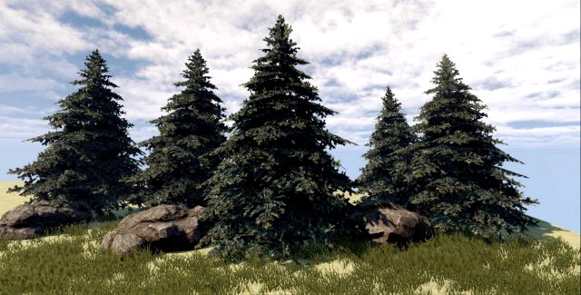 Fir Tree 3D Model
