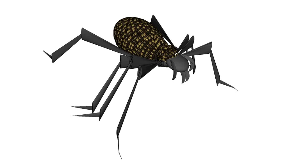 araignée Toane par Frédéric TABARY
