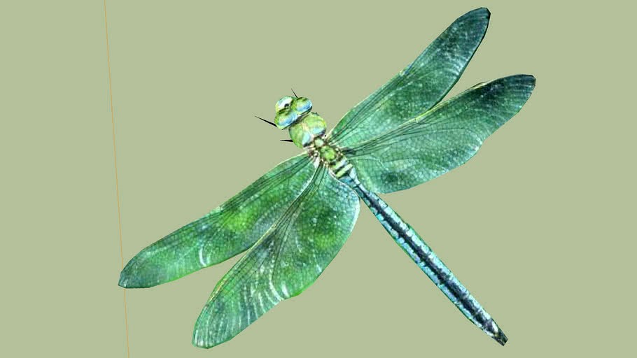 Dragonfly