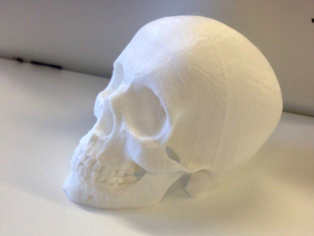 Re-oriented Skull for supportless printing by aaskedall