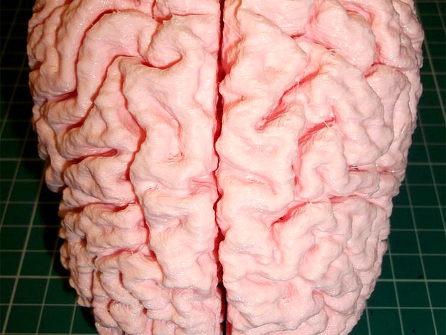 Human Brain by RichRap