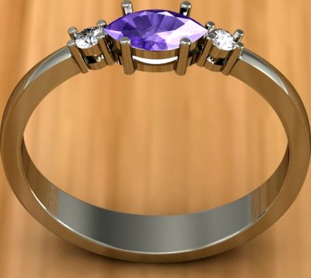 Ring 17 3D Model