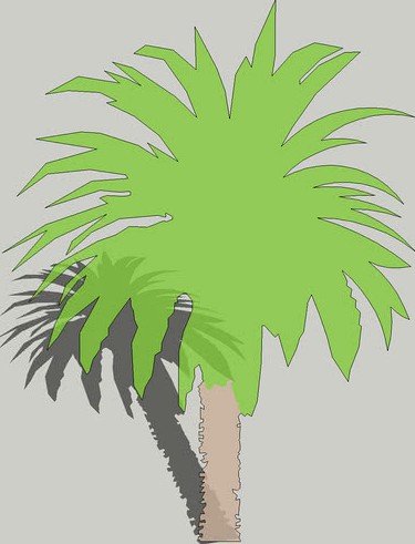 2D Schematic Palm Tree