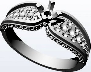 The individual ring 1 3D Model