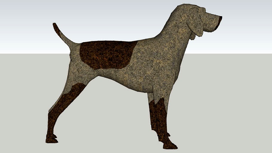 German Shorthaired Pointer
