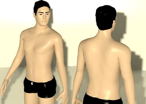 Human v1 3D Model