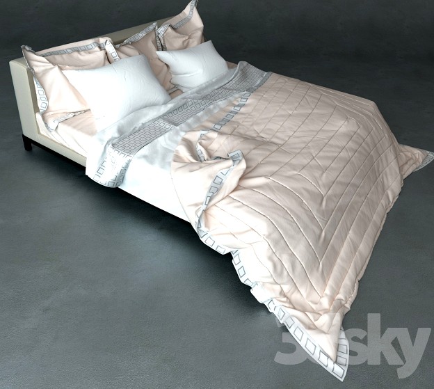 Bed linen (bedclothes)