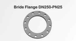 Flange Bride DN250 PN25