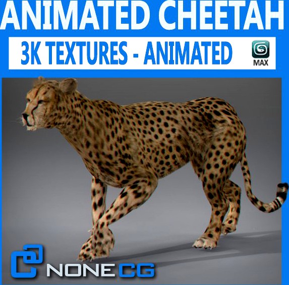 Animated Cheetah3d model