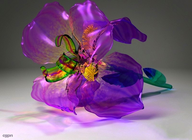 Glass Iris3d model