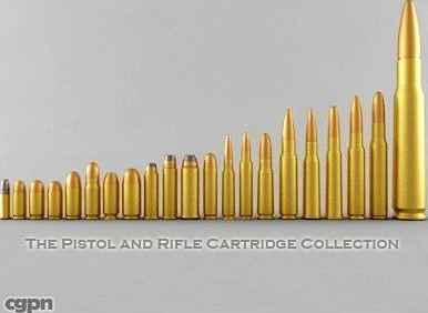 The Pistol and Rifle Cartridge Collection3d model