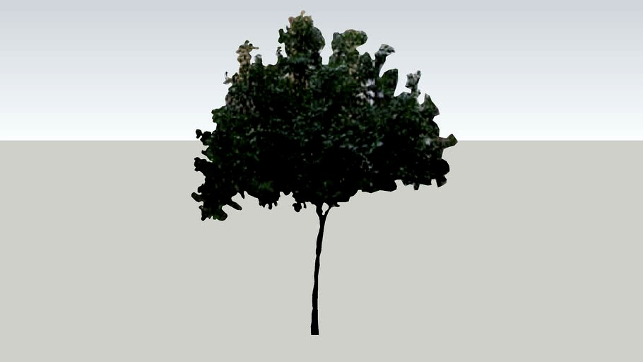 2D spindly tree