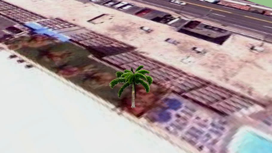 Palmtree
