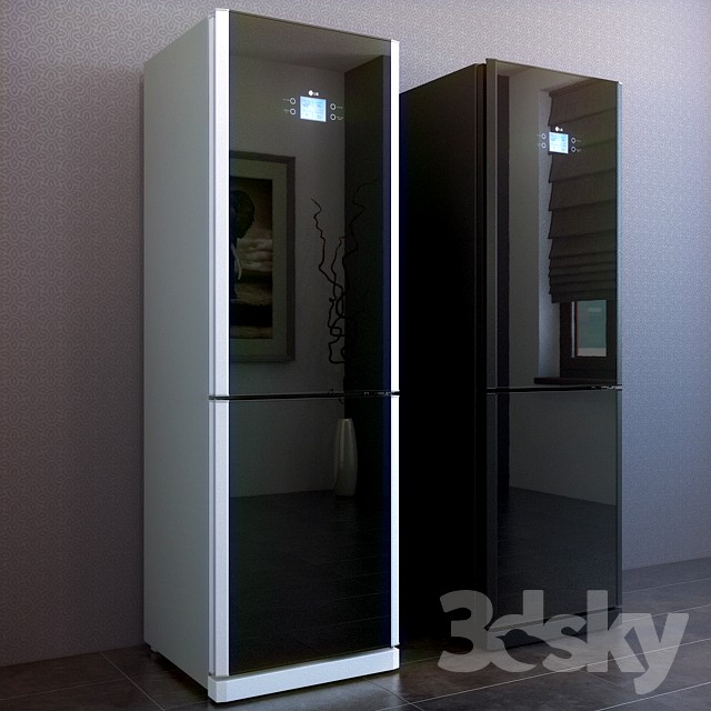 Fridge LG-GA-B409TGMR