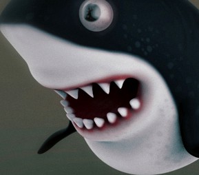 Shark
