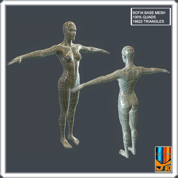 Sofia Base Mesh