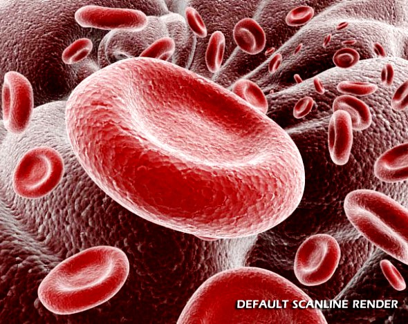 Red Blood Cells