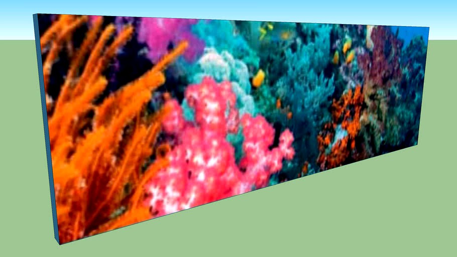 Coral Reef Panorama
