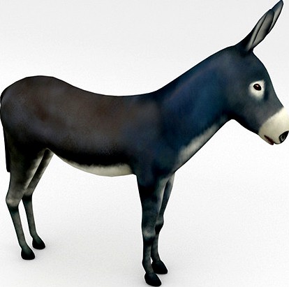 Donkey