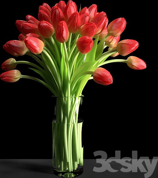 Red Tulips / Red tulips