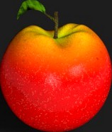 Realistic Red Apple