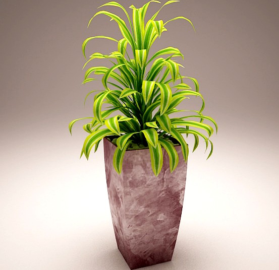 Plant Model A