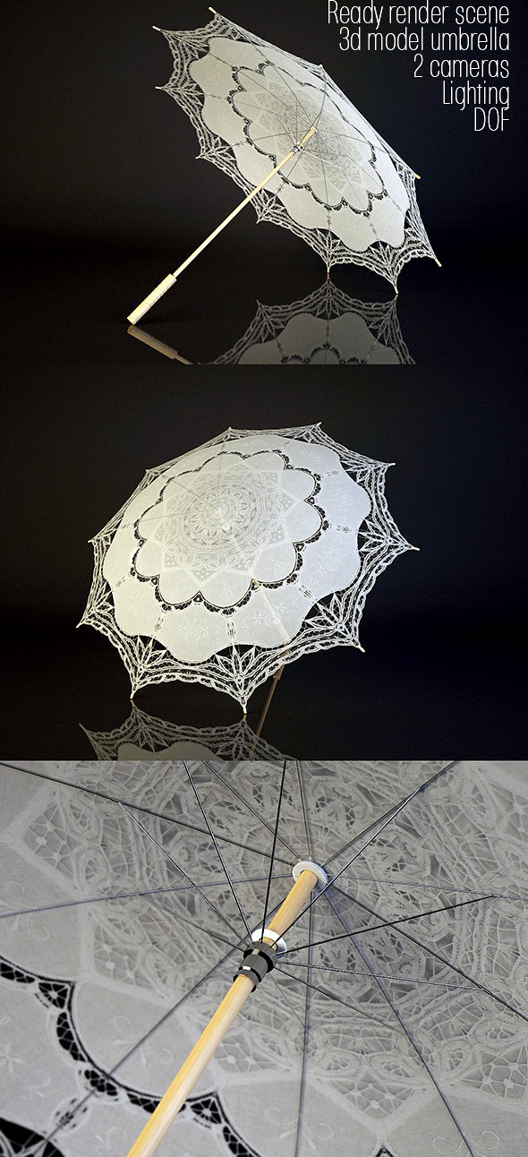 3d model lacy umbrella and render scene