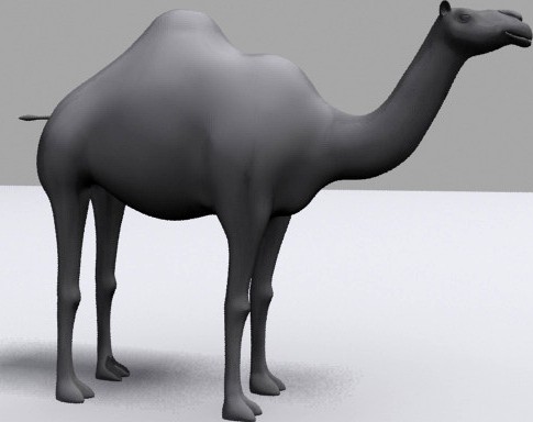 3D Camel Model