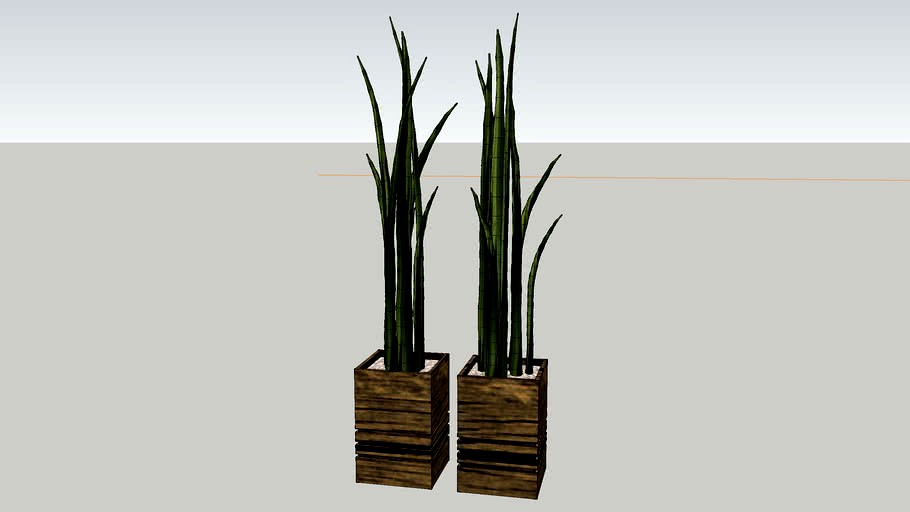 vaso