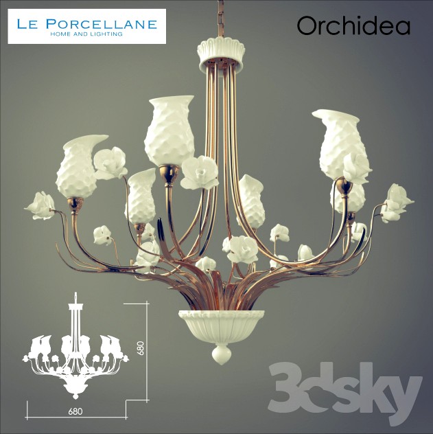 Le Porcellane / Orchidea