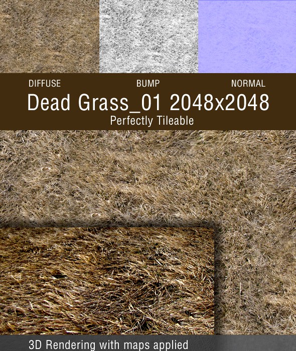 Dead Grass_01