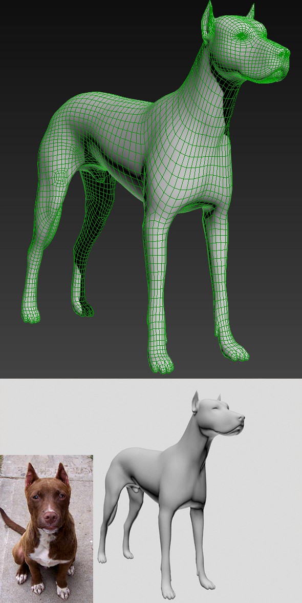 3d Dog Model