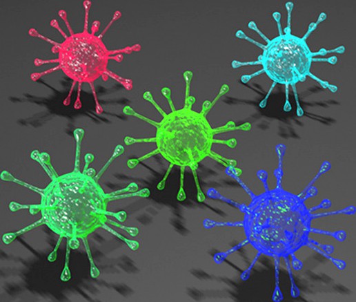 The bacterium