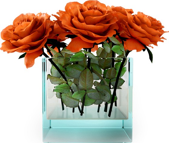 Orange Roses