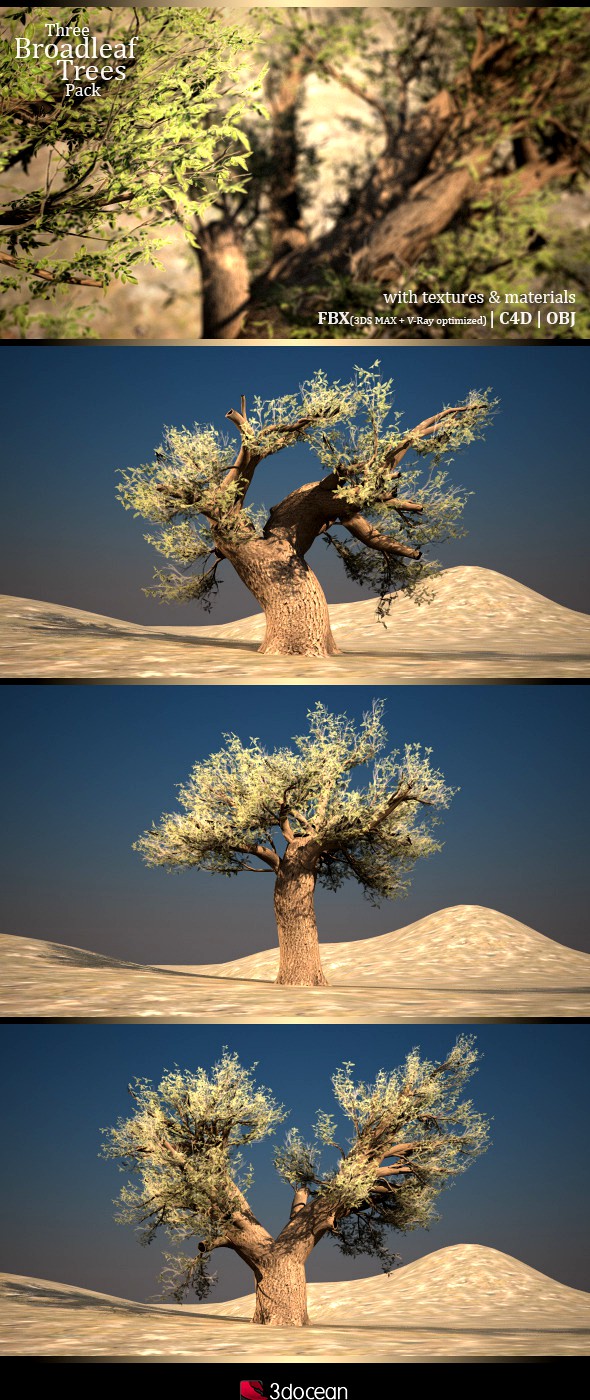 Three Broadleaf Trees Pack