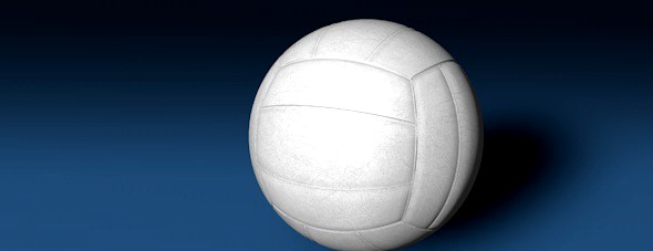Generic Volleyball