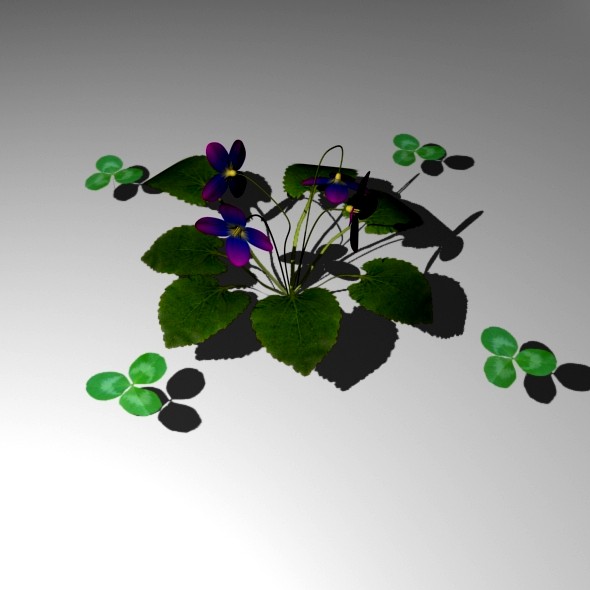Flowers (Viola, Trifolium) [HIGH POLY]