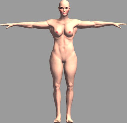 Nude Muscular Female