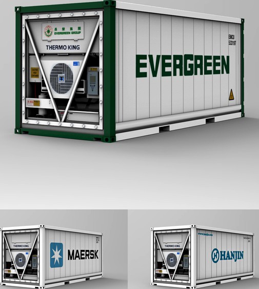 20F Refrigerated Container (Reefer)