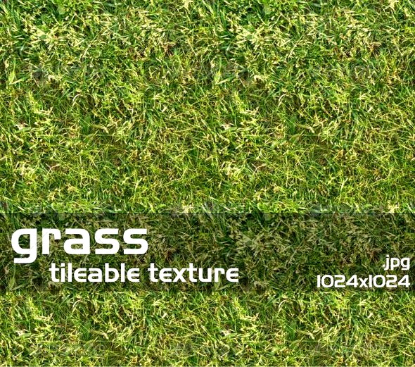 Grass Texture 1